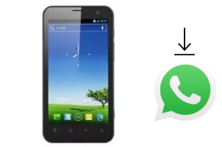 Comment installer WhatsApp dans un Newman N2