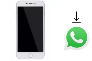 Comment installer WhatsApp dans un NEX Slam 8