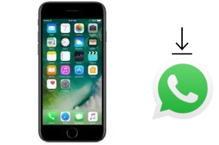 Comment installer WhatsApp dans un NEX Start 7