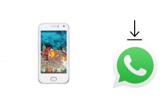 Comment installer WhatsApp dans un NGM Absolute