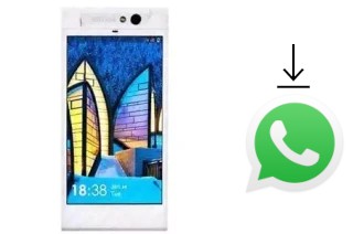 Comment installer WhatsApp dans un NGM Forward Next