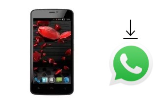 Comment installer WhatsApp dans un NGM Forward Ruby