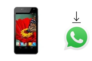 Comment installer WhatsApp dans un NGM Legend2