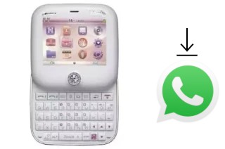 Comment installer WhatsApp dans un NGM Vanity