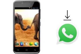 Comment installer WhatsApp dans un NGM Wilco