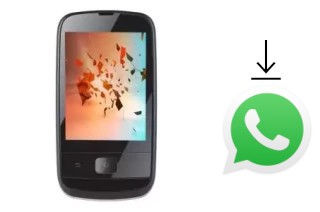 Comment installer WhatsApp dans un Ninetology i5300