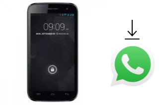 Comment installer WhatsApp dans un Ninetology I9501