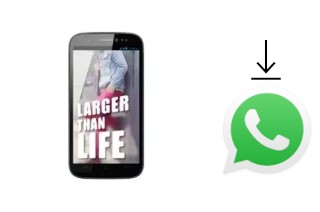 Comment installer WhatsApp dans un Ninetology Z1