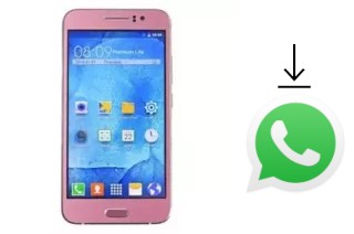 Comment installer WhatsApp dans un Nipda Hurricane A8