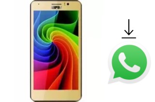 Comment installer WhatsApp dans un Nipda Hurricane C6