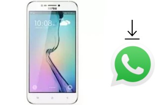 Comment installer WhatsApp dans un Nipda Hurricane V11