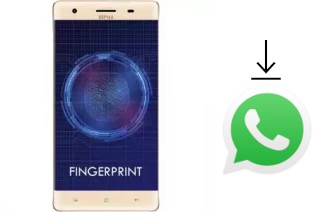 Comment installer WhatsApp dans un Nipda Tsunami-F9