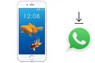 Comment installer WhatsApp dans un Nipda Tsunami IP6 Plus