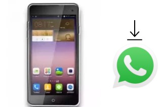 Comment installer WhatsApp dans un Nipda Tsunami