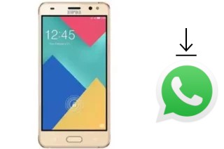 Comment installer WhatsApp dans un Nipda Typhoon A7 2016