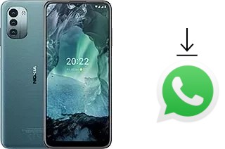 Comment installer WhatsApp dans un Nokia G11