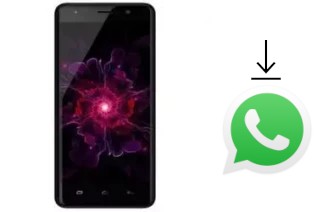 Comment installer WhatsApp dans un Nomi i5510 Space M