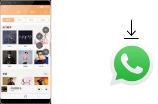 Comment installer WhatsApp dans un nubia Z17S