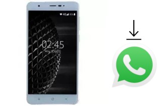 Comment installer WhatsApp dans un OKWU Omicron