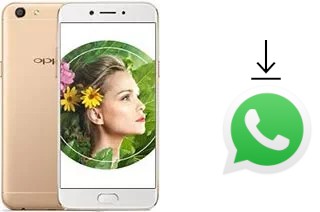 Comment installer WhatsApp dans un Oppo A77 (Mediatek)