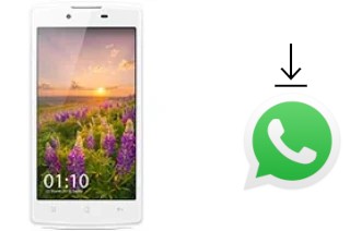 Comment installer WhatsApp dans un Oppo Neo 3