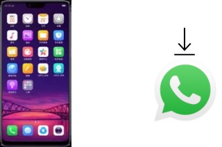 Comment installer WhatsApp dans un Oppo R15 Dream Mirror