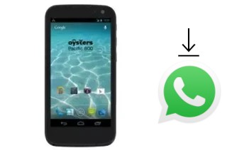 Comment installer WhatsApp dans un Oysters Pacific 800