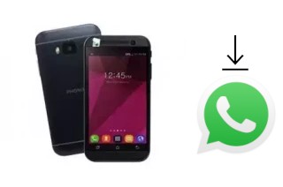 Comment installer WhatsApp dans un Phonix Mobile P3