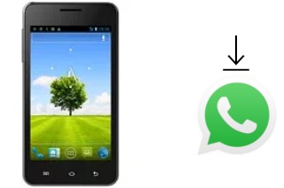 Comment installer WhatsApp dans un Plum Axe