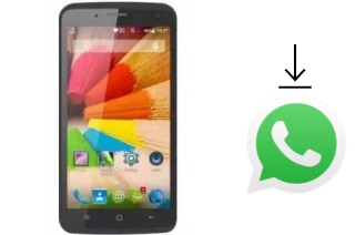 Comment installer WhatsApp dans un Polytron L501