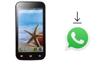 Comment installer WhatsApp dans un Polytron R1500