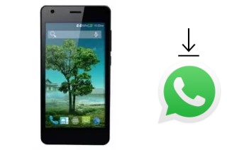 Comment installer WhatsApp dans un Polytron R2403