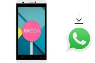 Comment installer WhatsApp dans un Polytron R2501