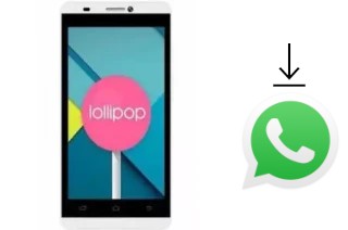 Comment installer WhatsApp dans un Polytron R2502