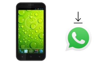 Comment installer WhatsApp dans un Polytron R3500