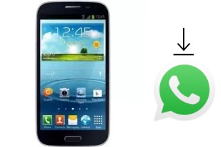 Comment installer WhatsApp dans un Privileg SM30