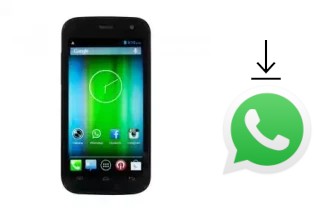 Comment installer WhatsApp dans un Pulsare 785