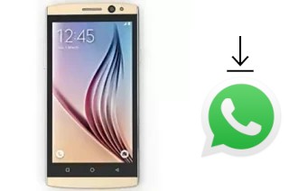 Comment installer WhatsApp dans un Puncher UK9