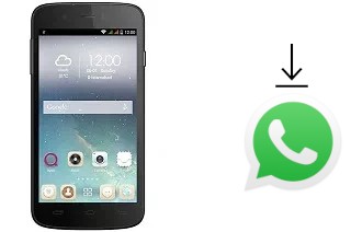 Comment installer WhatsApp dans un QMobile Noir i10