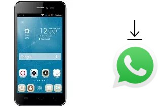 Comment installer WhatsApp dans un QMobile Noir i5i