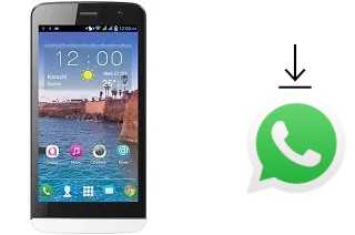 Comment installer WhatsApp dans un QMobile Noir A550