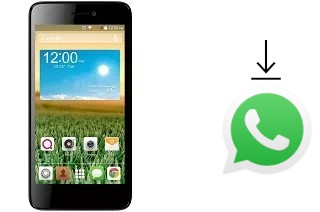 Comment installer WhatsApp dans un QMobile Noir X800