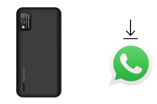 Comment installer WhatsApp dans un Quantum YOLO