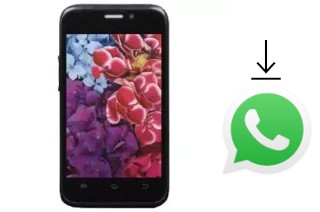 Comment installer WhatsApp dans un Qumo QUEST 350