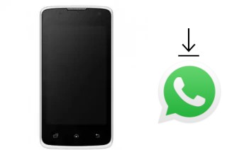 Comment installer WhatsApp dans un RLG Viva