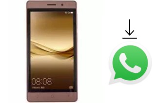 Comment installer WhatsApp dans un ROYQUEEN RoyQueen Regal RQ540