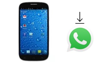 Comment installer WhatsApp dans un Runfast R463