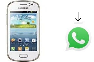 Comment installer WhatsApp dans un Samsung Galaxy Fame S6810