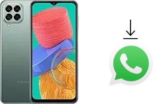 Comment installer WhatsApp dans un Samsung Galaxy M33