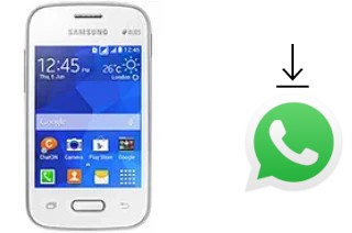 Comment installer WhatsApp dans un Samsung Galaxy Pocket 2